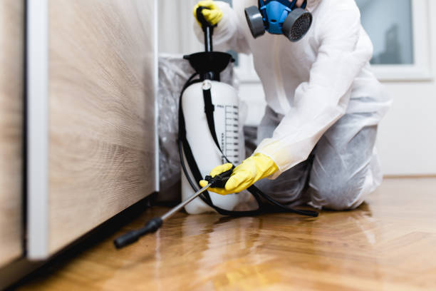 Best Affordable Pest Control Services  in Cornell, WI