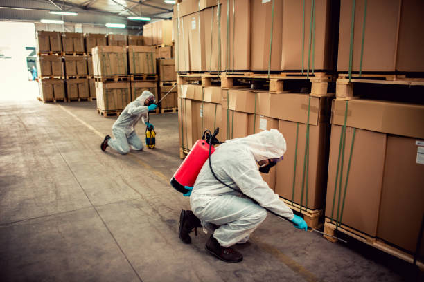 Best Affordable Exterminators  in Cornell, WI