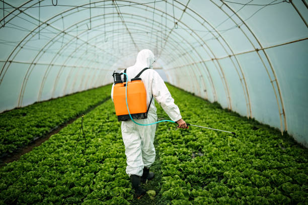 Pest Prevention Services in Cornell, WI