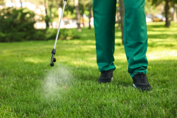 Wasp Removal Services in Cornell, WI