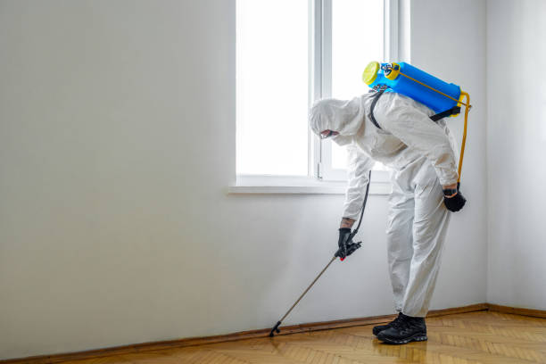 Best Pest Inspection Near Me  in Cornell, WI