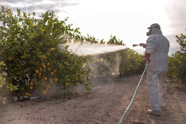 Best Best Pest Control Companies  in Cornell, WI