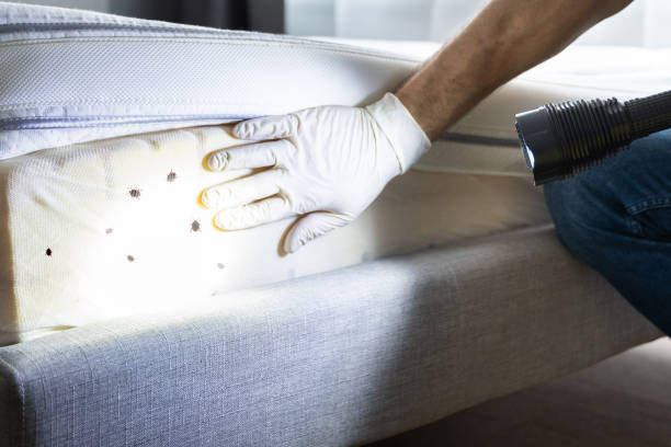 Best Commercial Pest Control Services  in Cornell, WI